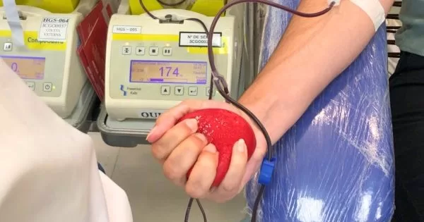 Projeto-de-lei-que-propoe-a-quitacao-de-multas-de-transito-com-a-doacao-de-sangue-e-aprovado-pela-Camara-Municipal-de-Juazeiro-do-Norte-aspect-ratio-40-21