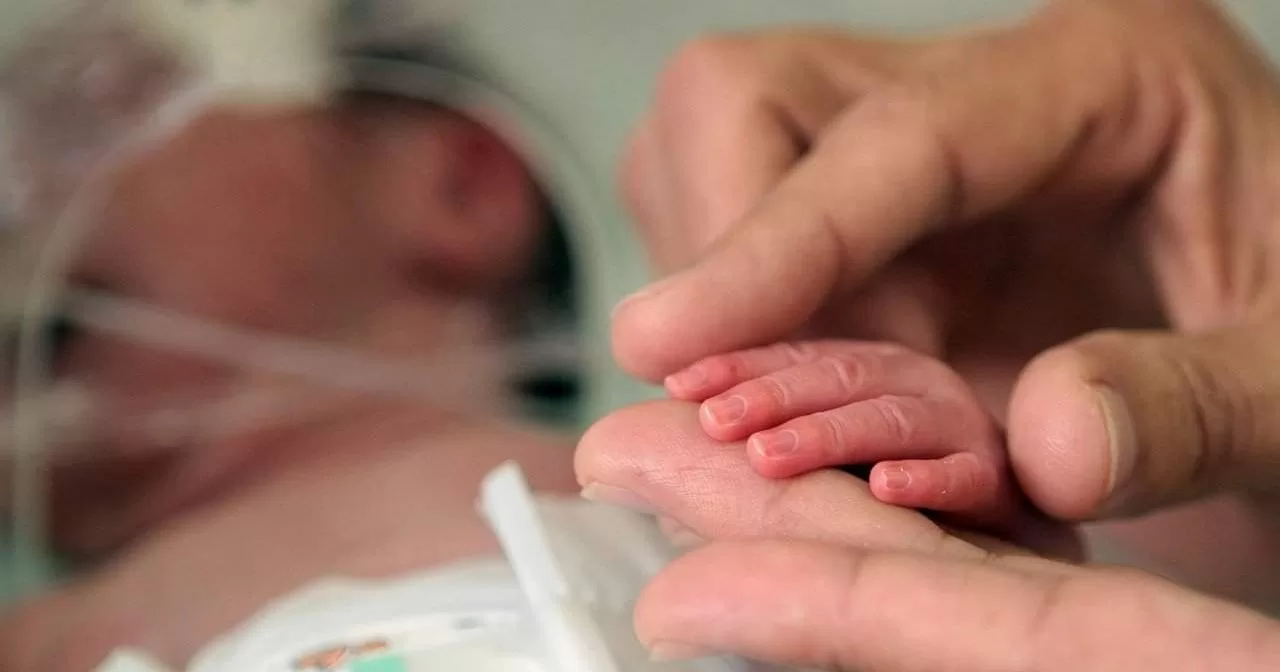 TJ-PR-autoriza-transfusao-de-sangue-em-Bebe-apos-recusa-dos-pais-por-motivos-religiosos-aspect-ratio-40-21