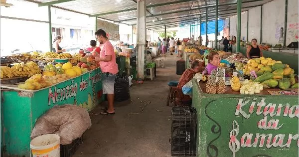 Capacitacao-sobre-seguranca-alimentar-acontece-na-sexta-5-em-Juazeiro-do-Norte-aspect-ratio-40-21