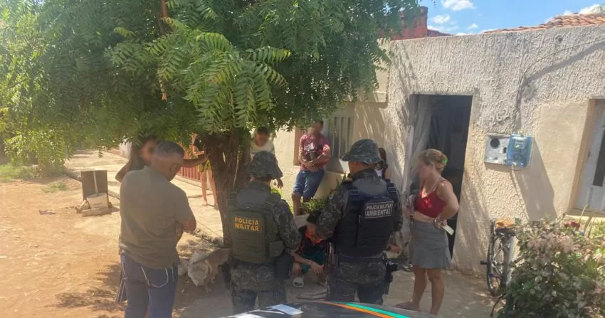 Imagem: Cariri Notícias