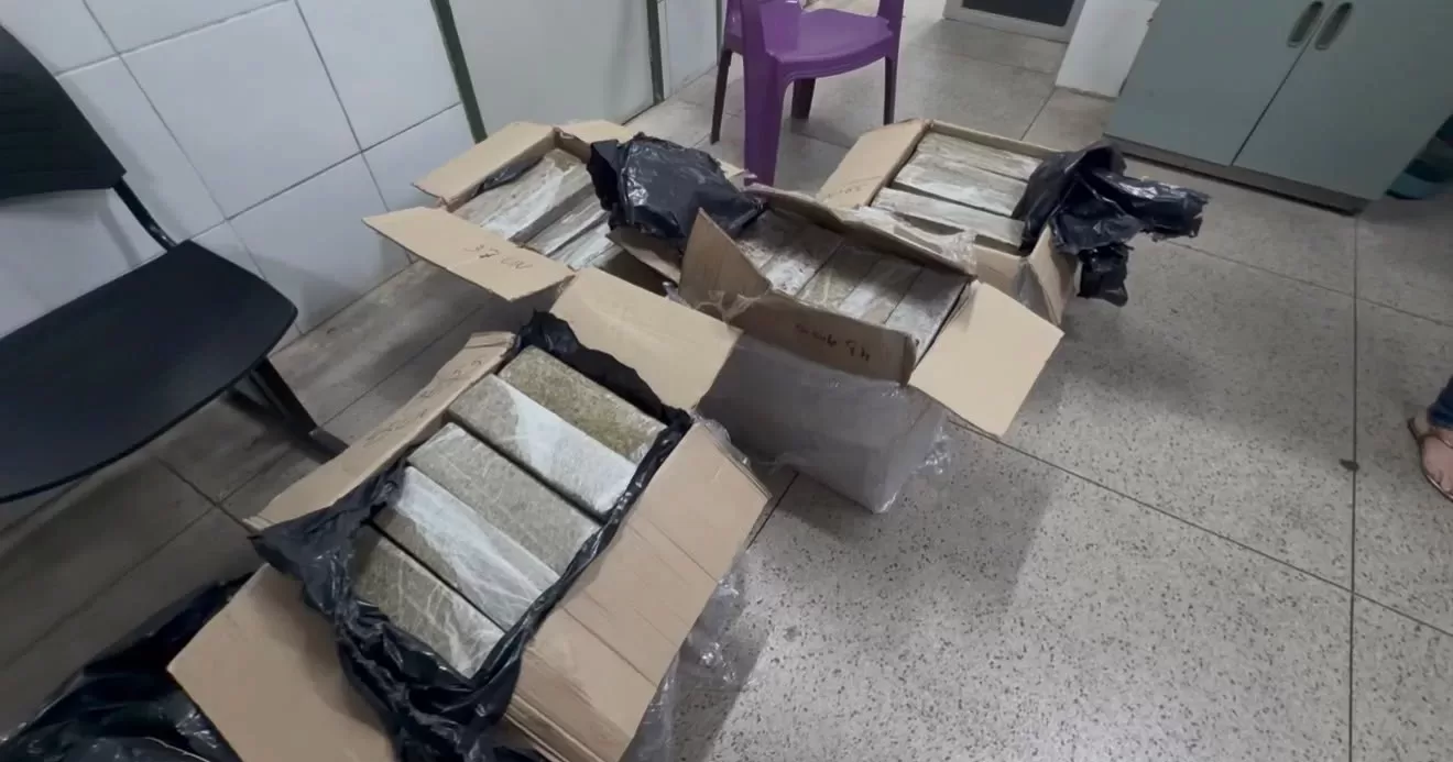 Policia-Civil-apreende-205-kg-de-maconha-em-veiculo-que-vinha-do-Rio-de-Janeiro-aspect-ratio-40-21